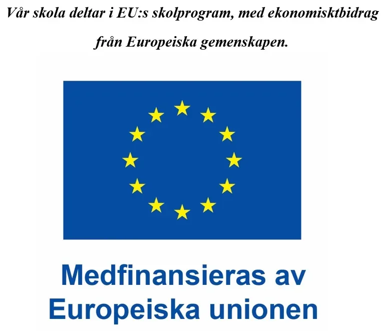 Medfinansieras av Europeiska unionen – EU skolprogram med ekonomibidrag